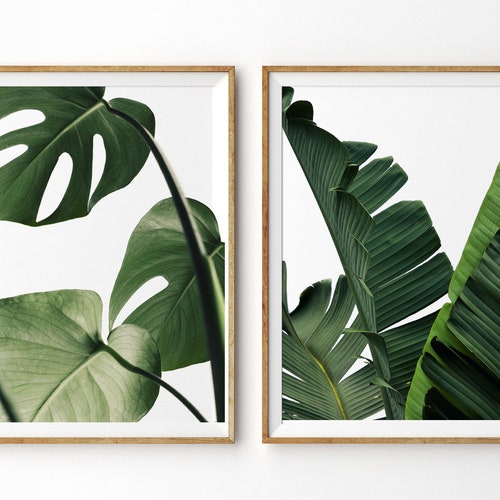 Tropical Leaf Print Set Of 2 Prints Monstera Leaf Banana Leaf Etsy
