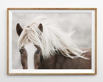 Caballo pared arte impresiones fotografía de caballo caballo islandés impresión imprimible arte de la pared gran caballo cartel granja decoración caballo arte impresión rústica