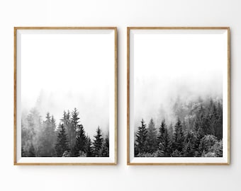 May include: Two black and white framed prints of a foggy forest scene. The prints are in wooden frames and are hung on a white wall.