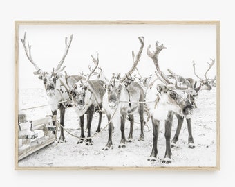 Noordse winterprint, rendierprint, Scandi decor, kerstafdrukbare muurkunst, digitale print, winterlandschap, dierenprint, Rudolf Art