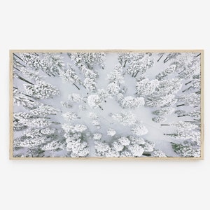 Pode incluir: Uma vista aérea de uma floresta nevada com árvores altas de folha perene cobertas de neve branca. As árvores estão agrupadas, criando uma paisagem branca densa.