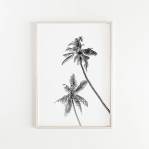 Boho Palm Tree Poster Print Black White Beach Decor Coastal Wall Art California Wall Art Prints Palms Print Modern Minimalist Printable Art