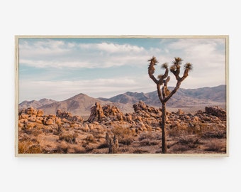 Digital Art for Frame TV, Modern Boho Desert, Joshua Tree, Desert Photography, Digital Download, TV Art, California Desert, Landscape Art