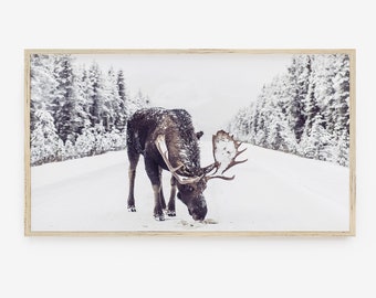 Frame TV Art, Winter Art, Moose in Snow, Modern Farmhouse, Snow Covered, LG TV, Samsung tv Art Nordic Decor Digital Christmas Art Animal Art
