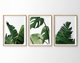 May include: Three framed prints of tropical leaves. The prints feature a variety of green leaves, including banana leaves and monstera leaves. The prints are set against a white background.