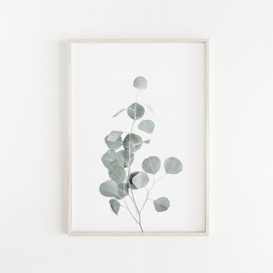 Druckbare Eukalyptusdruck Minimalistischer Druck Moderne Bauernhaus Dekor Botanischer Druck Küche Wand Kunst Großes Botanisches Poster Digital Download