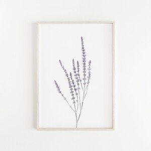 Purple Flowers Print, Wildflower Print, Modern Botanical Print, Minimalist Botanical Poster, Modern Farmhouse Decor, Kitchen Wall Art, Sage