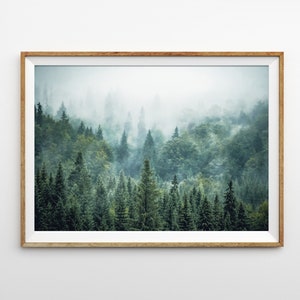 Forest Print Landscape Photography Nordic Decor Mountain Print Large Wall Art Prints Nature Photo Blue Green Fir Trees Evergreen Trees