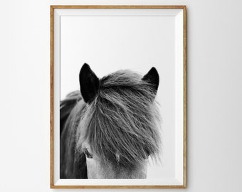 Close Up Horse Photo Print Icelandic Horse Nordic Print Horse Photography Scandinavian Print Modern Wall Art Prints Rustic Decor Printable