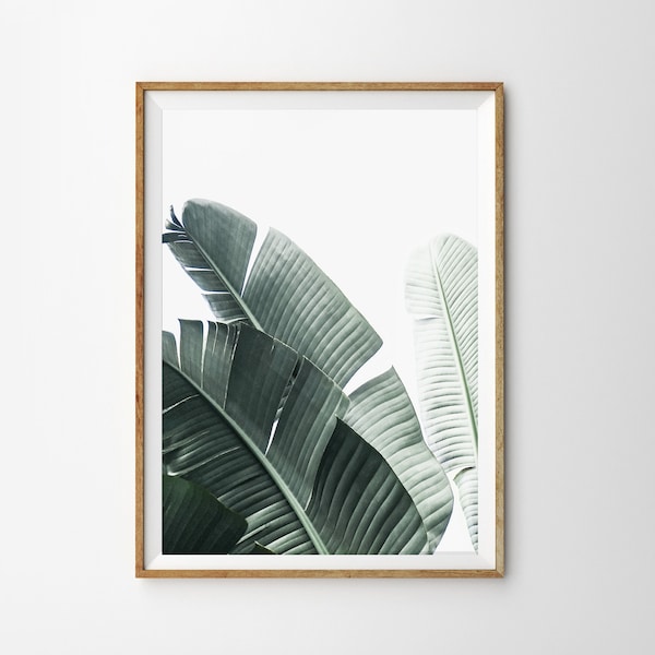 Tropical Leaf Print Tropical Decor Botanical Wall Art Prints Plant Poster Banana Leaf Print Coastal Wall Art Green Leaves Printable Art