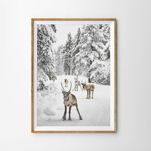 Reindeer Print Winter Wall Art Prints Nordic Christmas Printable Art Instant Download Snow Covered Trees Christmas Decor Scandinavian Art