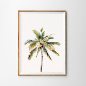 Coconut Tree Palm Tree Poster Print Boho Beach Decor Printable Art Coastal Wall Art Prints California Print Palms Print Modern Minimalist