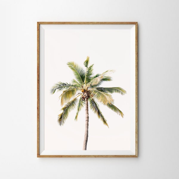 Coconut Print - Etsy