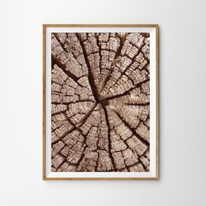 Rustic Farmhouse Print, Tree Ring Wall Art Print, Log Slice, Wood Log Print, Farmhouse Decor, Printable Wall Art, Large Poster Print