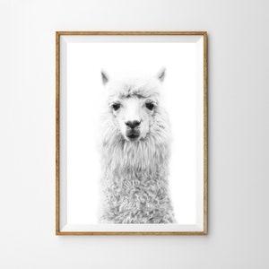 Llama Print Alpaca Print Black and White Boho Decor Boho Nursery Animal Nursery Llama Nursery Printable Art Farm Animal Prints Lama Print