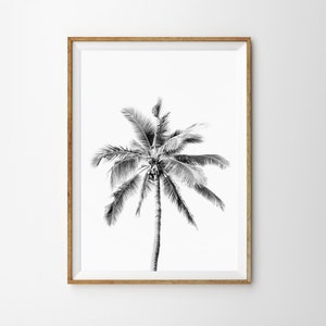 Black White Palm Tree Print Tropical Boho Beach Decor Modern Minimalist Large Printable Poster Coastal Wall Art Prints California Print