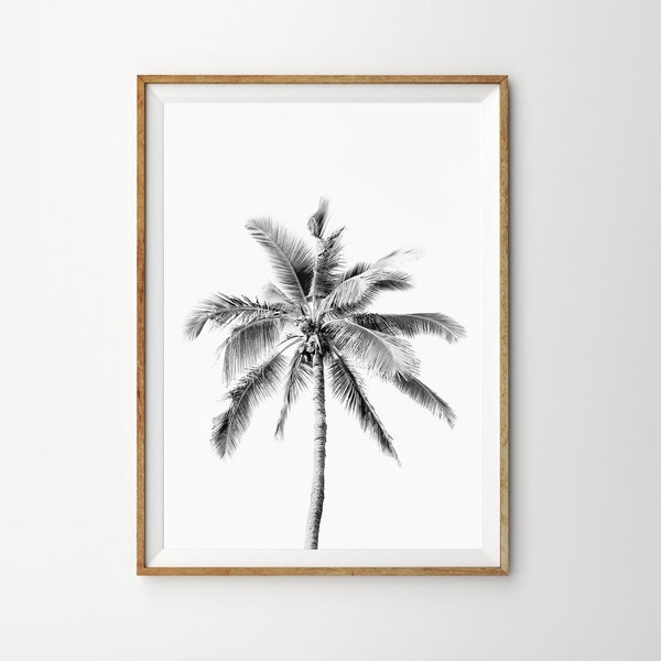 Black White Palm Tree Print Tropical Boho Beach Decor Modern Minimalist Large Printable Poster Coastal Wall Art Prints California Print