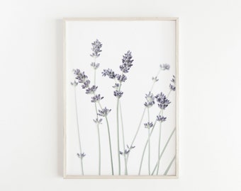Lavender Art Print, Modern Farmhouse Decor, Botanical Print Purple Flower Print Minimalist Print Kitchen Wall Art Printable Wall Art Digital