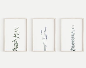 Könnte beinhalten: Drei gerahmte Drucke von botanischen Illustrationen. Die Drucke zeigen einen Zweig Lavendel, einen Zweig Eukalyptus und einen Zweig Oliven.