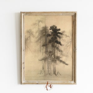 Antique Pine Tree Drawing, Japandi Vintage Tree Sketch, Japanese Illustration, Digital Prints, Wabi Sabi Gallery Wall Print, Printable Art