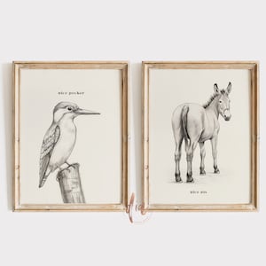 Funny Bathroom Print Set, Digital Prints, Nice Ass Pecker Printable Wall Art, Donkey Poster Vintage Illustration Toilet Humor Bathroom Decor