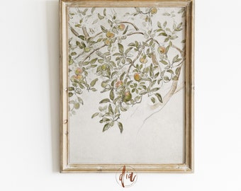 Appelboomschets, vintage tekening, rustieke landkunst, antieke botanische tekening, Frans landdecor, Franse boerderij, neutrale esthetiek