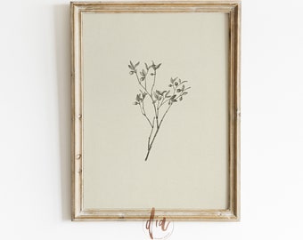 Printable Botanical Sketch, Vintage Minimal Drawing, Antique Leaf Sketch, Digital Vintage Line Art, French Country Farmhouse Decor