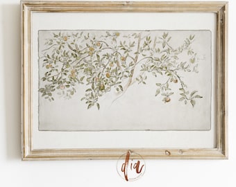 Vintage appelboomschets, horizontale antieke tekening, afdrukbare rustieke landkunst Frans landdecor, Franse boerderij neutrale esthetiek