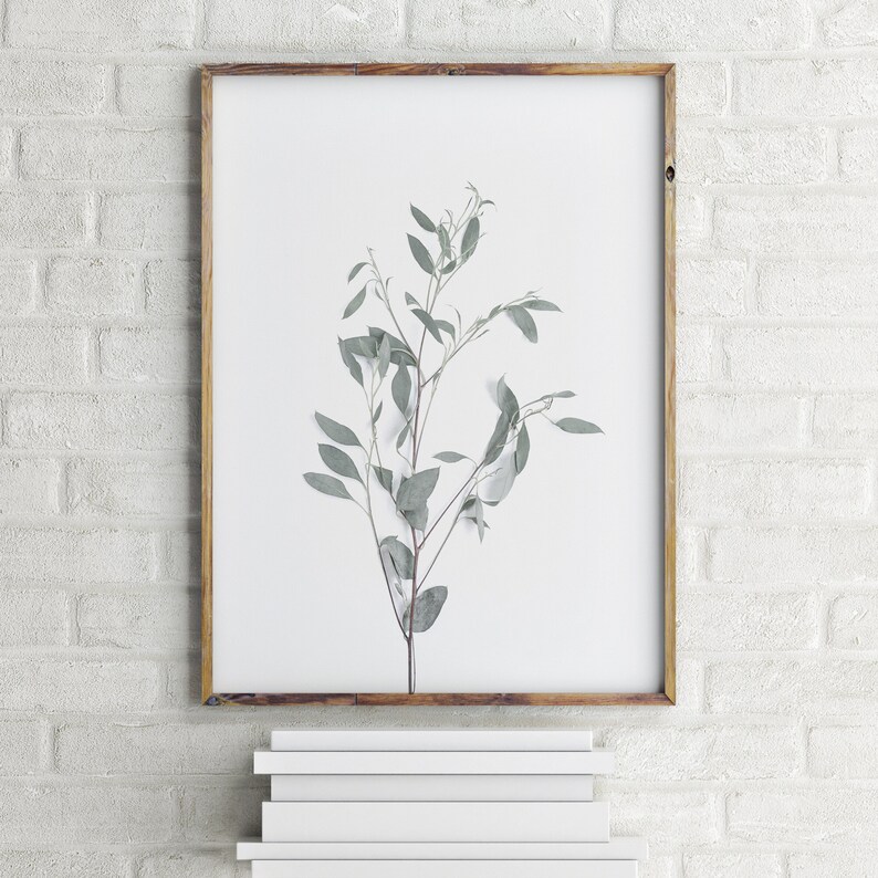 Set of 3 Prints Modern Farmhouse Print Botanical Wall Art Kitchen Wall Art Prints Printable Wall Art Lavender Print Affordable Wall Art image 3