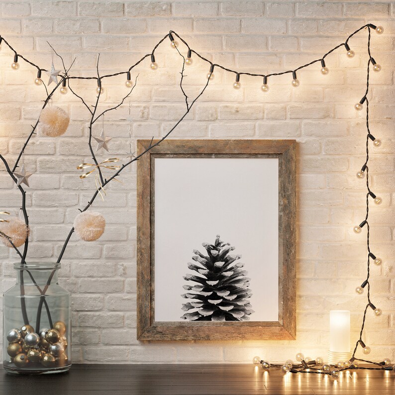 May include: A rustic wooden frame with a black and white photograph of a pine cone. The frame is hanging on a white brick wall with a string of fairy lights draped across the top.