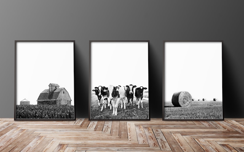 Set of 3 Farm Prints Cows Barn Hay Print Modern Farmhouse Decor Black White Print Farmhouse Kitchen Wall Art 3 Piece Wall Art Triptych Art image 2