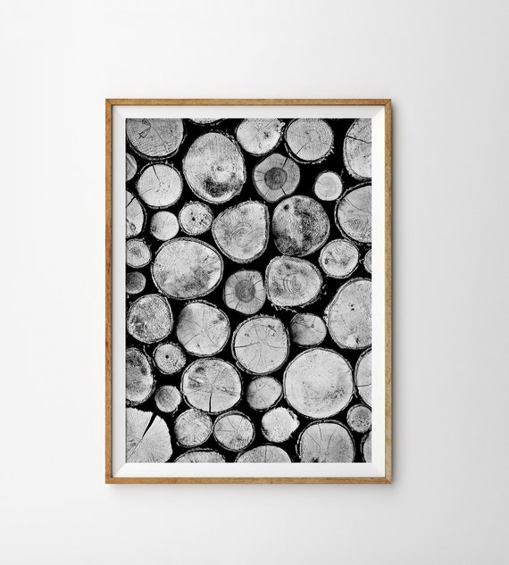 Wood Pile Drawing