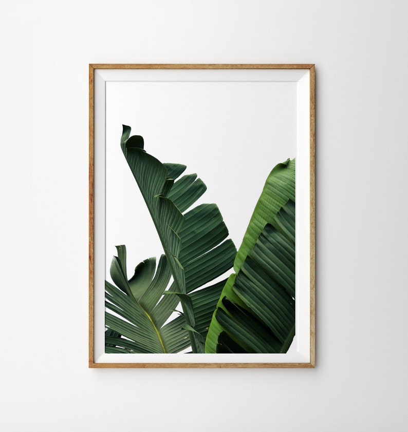 Banana Leaf Print 3 Piece Wall Art Set of 3 Prints Palm Leaf - Etsy