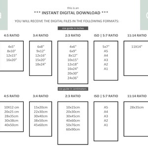 May include: A chart showing different aspect ratios and their corresponding sizes in inches and centimetres. The chart includes 4:5, 3:4, 2:3, ISO | 5:7, and 11:14 ratios. The chart is titled "Instant Digital Download" and includes the text "You will receive the digital files in the following formats."