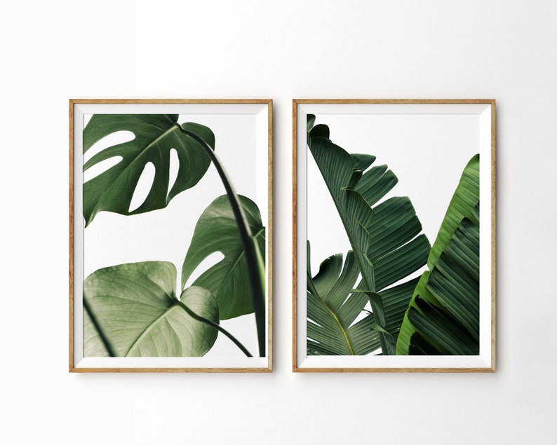 May include: Two framed prints of tropical leaves. The print on the left features a monstera leaf, while the print on the right features a banana leaf.
