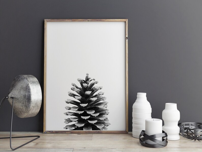 May include: Black and white photograph of a pine cone in a wooden frame. The pine cone is the focal point of the image and is centred in the frame. The background is a plain white wall.