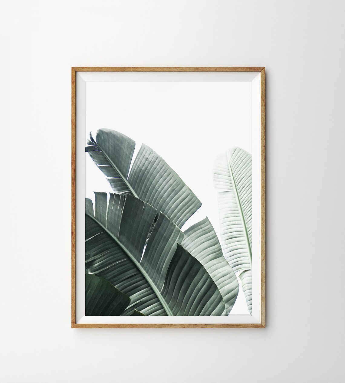 Tropical Wall Art Prints Botanical Wall Art Set of 3 Prints Etsy