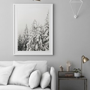 May include: A black and white photograph of snow-covered pine trees in a forest. The photo is framed in a white frame and hangs on a grey wall above a white sofa with white cushions.