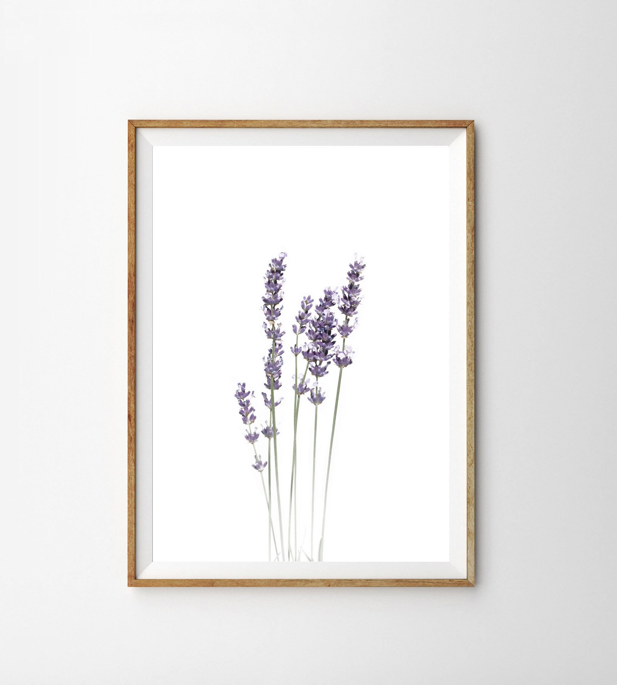 Lavender Print Kitchen Wall Art Prints Botanical Prints Modern Etsy