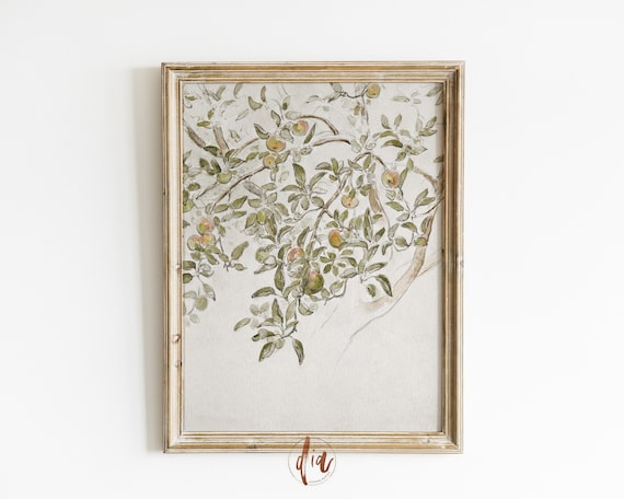 Apple Tree Sketch, Vintage Drawing, Rustic Country Art, Antique Botanical Drawing, French Country Decor, French Farmhouse, Neutral Aesthetic