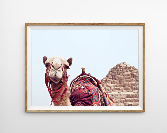 Camel Print Morocco Art Print Boho Decor Modern Wall Art Prints Desert Animal Digital Download Printable Art Dubai Moroccan Bohemian Poster