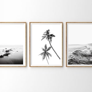 Puede incluir: Un conjunto de tres impresiones enmarcadas en blanco y negro que representan una escena de playa con palmeras y olas.