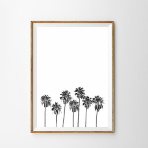 May include: A framed black and white print of a row of palm trees against a white background.