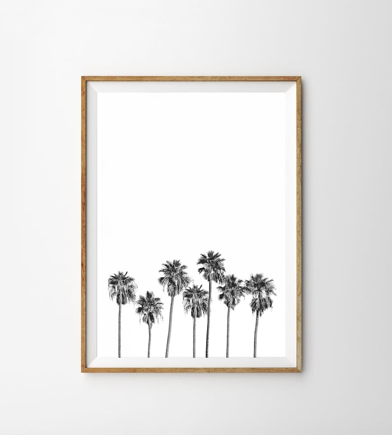 May include: A framed black and white print of a row of palm trees against a white background.