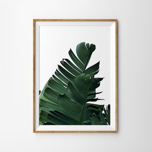 3 Piece Wall Art Tropical Leaves Printable Art Set of 3 Prints ...
