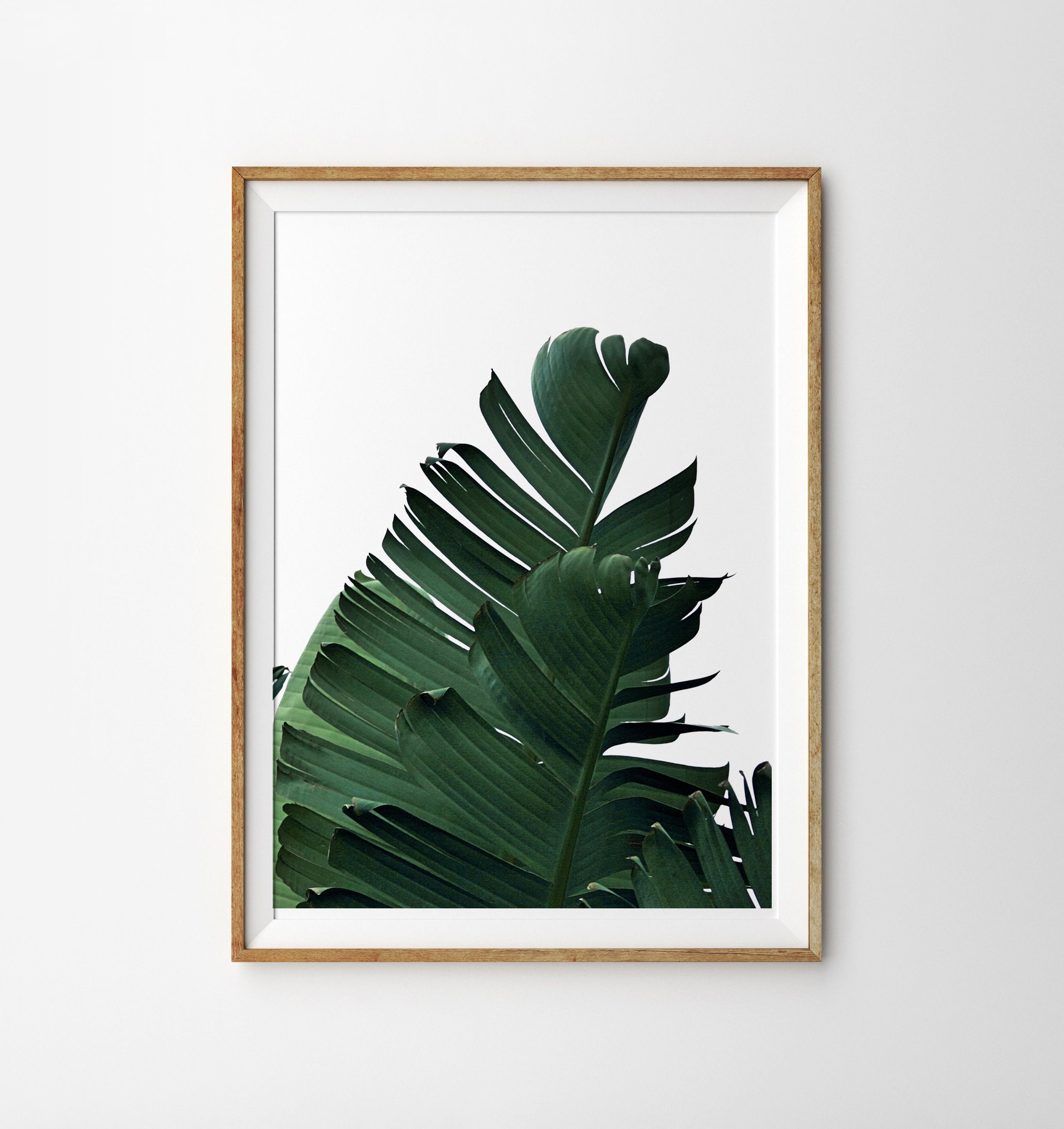 3 Piece Wall Art Tropical Leaves Printable Art Set of 3 Prints ...