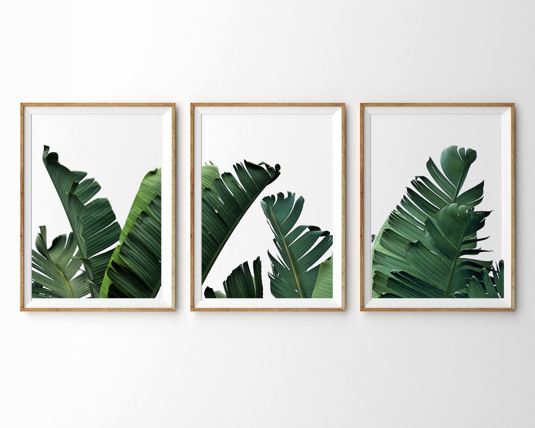 Banana Leaf Print 3 Piece Wall Art Set of 3 Prints Palm Leaf Print ...
