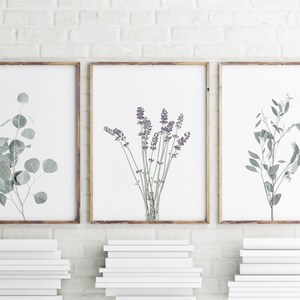 Set of 3 Prints Modern Farmhouse Print Botanical Wall Art Kitchen Wall Art Prints Printable Wall Art Lavender Print Affordable Wall Art image 2