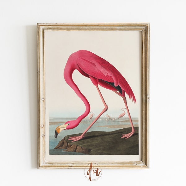 Vintage Flamingo Decor Etsy