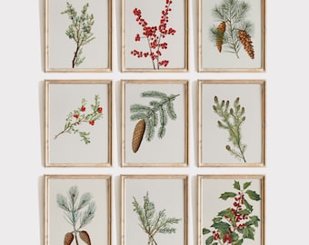 Winter Botanische Wand Kunst Druck Set von 9, Vintage botanische Zeichnungen, Weihnachten Galerie Wand Set, Pine Holly Mistelzweig Antike Gemälde